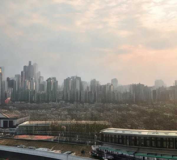 虎威四溢，探寻以虎开头的成语世界,虎啸山林，成语中的猛虎之威—探寻以虎开头的四字成语,成语,第1张