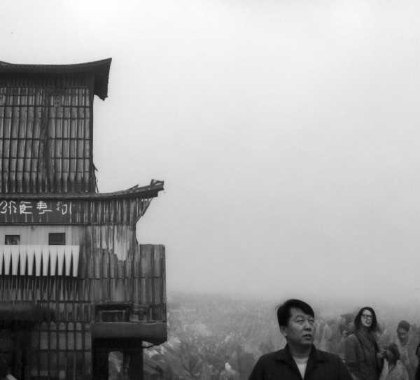野性四字成语揭秘，野开头的成语探秘,野性难驯，揭秘野开头的四字成语,成语,比喻,第1张